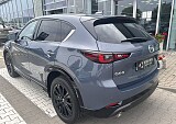 IMG_4619.JPEG
