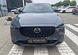 IMG_4616.JPEG