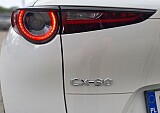 151138_24971_914dd0cc-7eee-43fa-be48-1aaa02d4ec2b.JPEG