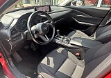 IMG_4513.JPEG