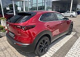IMG_4516.JPEG