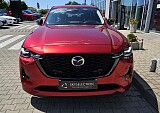20250626_114151.jpg