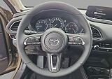 Mazda CX-30 - Kolor Platinum Quartz, zdjęcie 9
