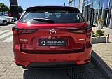 20250626_113913.jpg