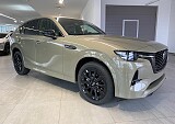 IMG_1.jpg