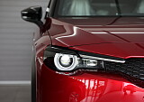 8Z3A7672.JPG