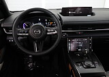 8Z3A7690.JPG