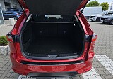 20250627_102910.jpg