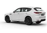 MAZDA CX-60 HOMURA_Arctic White_109.jpg