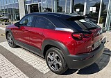 IMG_4117.JPEG