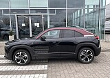 IMG_4019.JPEG
