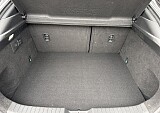 IMG_4024.JPEG