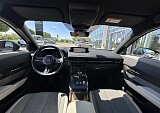 IMG_4122.JPEG