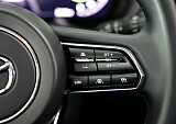 8Z3A7909.JPG