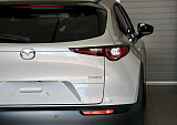8Z3A8319.JPG