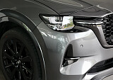 8Z3A7892.JPG