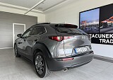 IMG_5245.JPEG