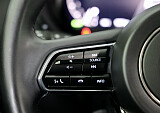 8Z3A7908.JPG