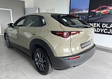 IMG_5485.JPEG