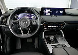 8Z3A7902.JPG