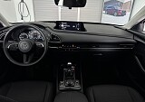 IMG_5491.JPEG