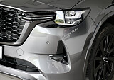 8Z3A7897.JPG