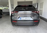 IMG_5250.JPEG