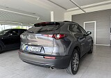 IMG_5246.JPEG