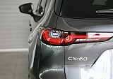 8Z3A7916.JPG