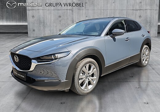 Mazda CX-30 - Kolor Polymetal Gray