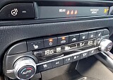 20250529_141117.jpg