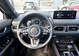 20250529_140944.jpg