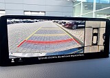 20250529_141207.jpg