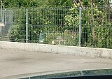 nr_0016.jpg