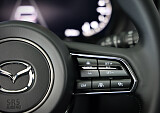 8Z3A8645.JPG