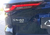 nr_0013.jpg