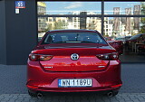 P1060660.JPG
