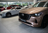 8Z3A8592.JPG