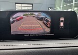 20250708_161254.jpg