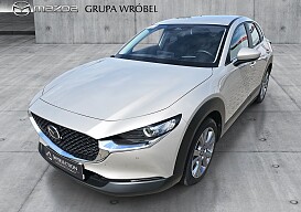 1_e73aa1bc-22f3-446c-8c5c-0a464bdebb1c_final_image (Large).jpg