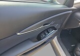 10_9ecc98ff-d3f8-4b37-a5b0-4403a6aaff63_final_image (Large).jpg