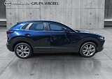 4_0e4d6e9b-4ee5-422a-9f33-177e10c4765e_final_image (Large).jpg