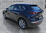 7_829be9ad-c28d-4ea4-85ef-ee29ad8526ac_final_image (Large).jpg
