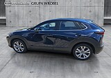 8_1c54a4e2-05e6-4db2-947a-2aecca267c92_final_image (Large).jpg