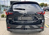 IMG_4910.JPEG