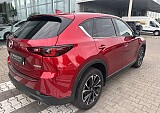 IMG_4945.JPEG