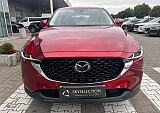 IMG_4935.JPEG