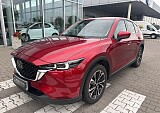 IMG_4936.JPEG