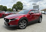 IMG_4674.JPG