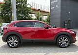 IMG_4690.JPG